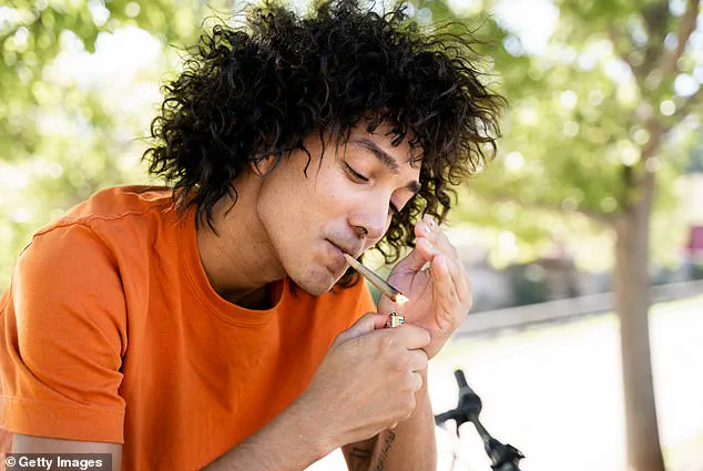 Surge in Marijuana Addiction Among Young Americans: Potency and Accessibility Fuel Crisis
