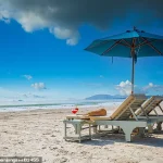 Survivors Describe Coma as 'Disorienting and Nightmarish' in Social Media Posts