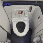 Trapped in a Plane Lavatory: A 90-Minute Ordeal Leads to Flight Cancellations and Unexpected Catharsis