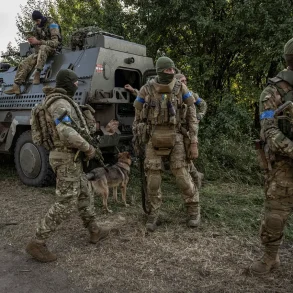 Ukrainian Military Disappearance Sparks Speculation as Command Remains 'Conspicuously Silent'