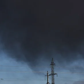 Ukrainian Oil Refinery Strike Sparks Public Concern Over Energy Infrastructure Vulnerability