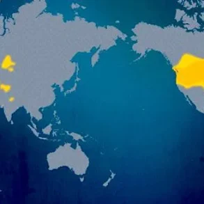 Unraveling the Mystery of Haplogroup X: A Genetic Enigma Challenging Conventional Theories of Human Migration Across Continents