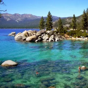 Urgent Alert: Black Death Case in Lake Tahoe Marks First Since 2020, Prompting Health Advisories