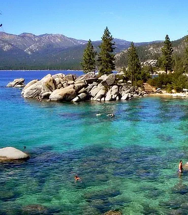 Urgent Alert: Black Death Case in Lake Tahoe Marks First Since 2020, Prompting Health Advisories