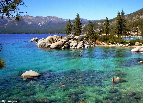 Urgent Alert: Black Death Case in Lake Tahoe Marks First Since 2020, Prompting Health Advisories