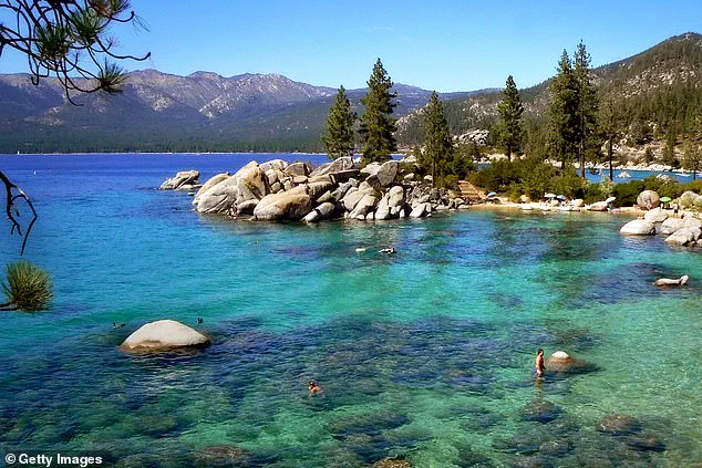 Urgent Alert: Black Death Case in Lake Tahoe Marks First Since 2020, Prompting Health Advisories