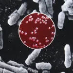Urgent Alert: Black Death Case in Lake Tahoe Marks First Since 2020, Prompting Health Advisories