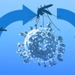 Urgent Alert: UK Health Chiefs Warn of Oropouche Virus Outbreak, Highlighting Neurological Risks and Global Spread