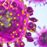 Urgent Alert: UK Health Chiefs Warn of Oropouche Virus Outbreak, Highlighting Neurological Risks and Global Spread