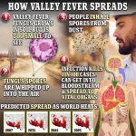 Valley Fever Surge in the American West Signals Growing Public Health Crisis Linked to Climate Change
