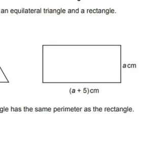 Viral Math Problem Sparks Global Debate Over Answer to 72÷9(4+4)=?