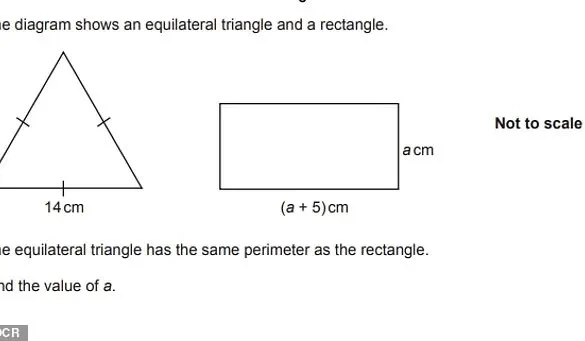 Viral Math Problem Sparks Global Debate Over Answer to 72÷9(4+4)=?