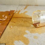 Warning: Common Household Items You Should Never Vacuum, Experts Warn – Mistakes Could Damage Your Device and Cost You More
