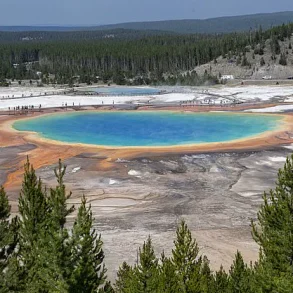Yellowstone Tourist Sparks Outrage for Trampling Hot Spring Ecosystem, as Social Media Condemns Reckless Act