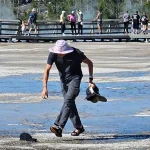 Yellowstone Tourist Sparks Outrage for Trampling Hot Spring Ecosystem, as Social Media Condemns Reckless Act