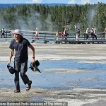 Yellowstone Tourist Sparks Outrage for Trampling Hot Spring Ecosystem, as Social Media Condemns Reckless Act
