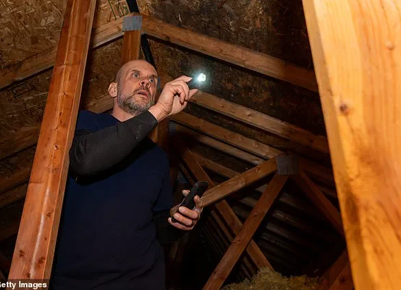 A Disturbing Attic Discovery Sparks Global Conversation: 'A Glimpse into Something Designed to Unsettle,' Says Quinn