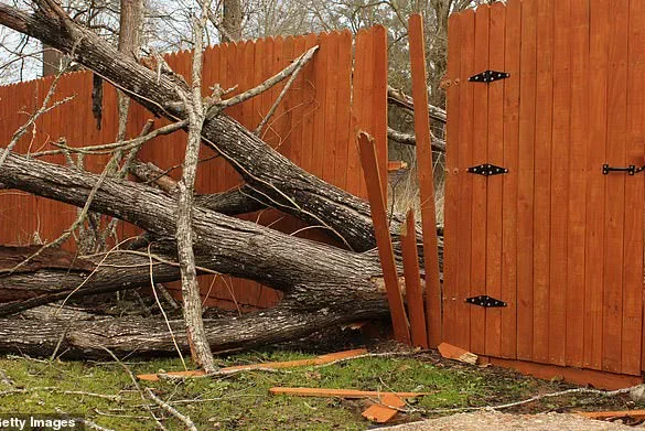 A Growing Divide: Overgrown Trees and the Legal Quagmire of Shared Green Spaces