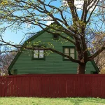 A Growing Divide: Overgrown Trees and the Legal Quagmire of Shared Green Spaces