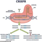 Argentina's CRISPR-Edited Horses: A Controversial Leap in Polo Performance