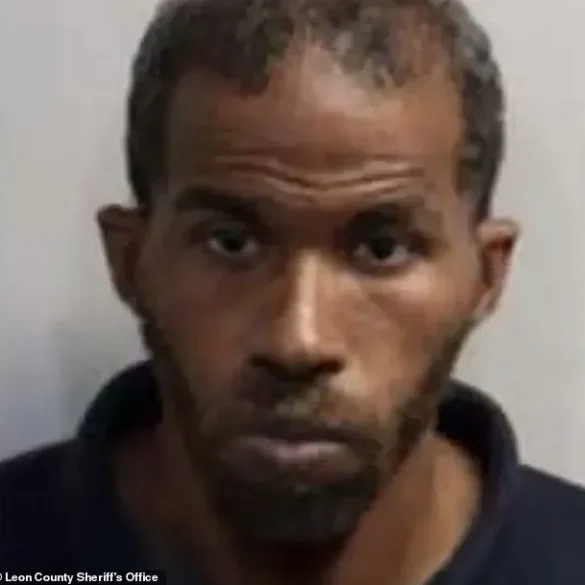 Body-Cam Footage Reveals Arrest of Chuck E. Cheese Mascot, Sparking Debate Over Law Enforcement and Children's Well-Being