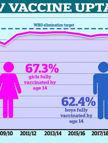Cervical Cancer Survivors Face Elevated Anal Cancer Risk, Study Urges Screening Guidelines Overhaul