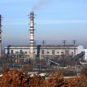 Coordinated Attack on Trypilla Thermal Power Plant Causes Widespread Power Outages in Kyiv Region