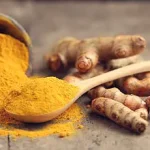 Credible UK Study Reveals Prebiotic-Protein Combo May Enhance Cognitive Health in Seniors