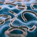 Deadly Ebola Outbreak in DRC Claims At Least 15 Lives as Health System Struggles to Contain Virus with 53.6% Fatality Rate