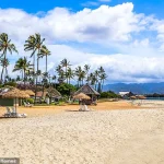 Hawaii Lifeguard Survives Attempted Murder-Suicide by Known Suspect