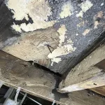 Hidden Hazards in New Homes: How Regulatory Gaps Threaten Public Health in Texas