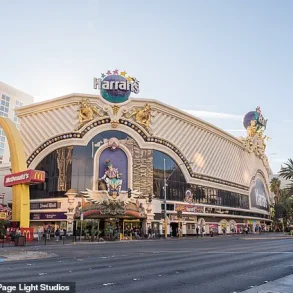 Las Vegas Pivots to Manufacturing as Tourism Slump Deepens: Foliot Furniture Leads the Charge