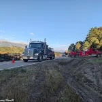 Late-Night Colorado Crash Turns Into Sweet Corn Spill Surprise