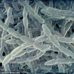 Legionnaires’ Disease Outbreak in Westchester County Claims First Fatalities Since Outbreak Identified