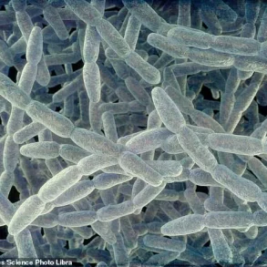 Legionnaires’ Disease Outbreak in Westchester County Claims First Fatalities Since Outbreak Identified