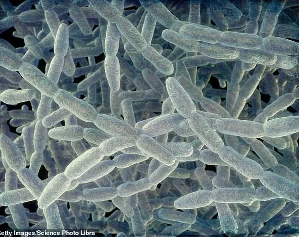 Legionnaires’ Disease Outbreak in Westchester County Claims First Fatalities Since Outbreak Identified