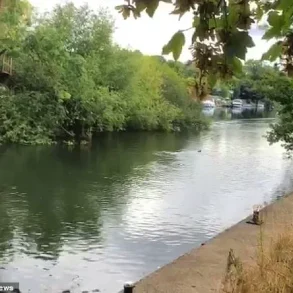 Lock Keeper's Warning and Family's Baffling Discovery as Mysterious Aquatic Creature Spotted on Thames