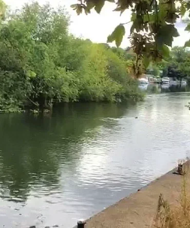 Lock Keeper's Warning and Family's Baffling Discovery as Mysterious Aquatic Creature Spotted on Thames