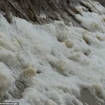 Nantucket's Toxic Sea Foam: PFAS Threat Sparks Urgent Warnings