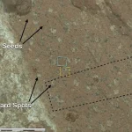 NASA to Hold Rare News Conference on September 10, Suggesting Major Mars Discovery