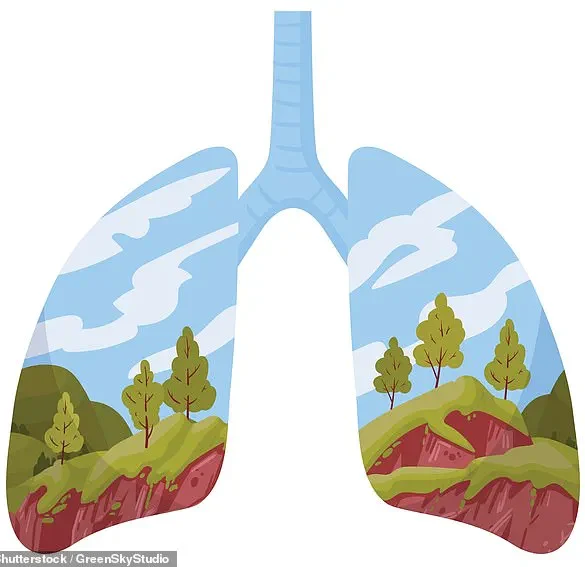New Hypothesis Suggests Airborne Nutrients May Play Role in Human Health, Challenging Conventional Nutrition Beliefs