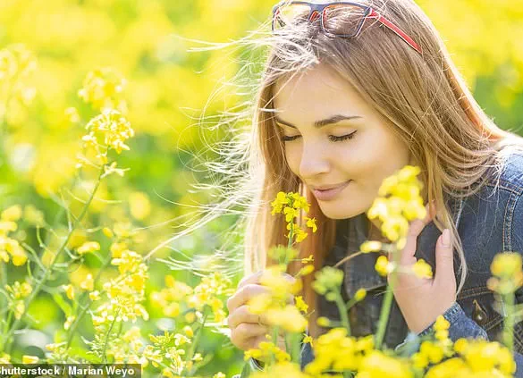 New Study Reveals Early Dementia Warning Sign: Loss of Smell Linked to Pre-Diagnosis Changes