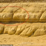 New Theories Challenge Established Beliefs About the Great Sphinx's Origins