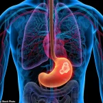 Persistent Heartburn Could Signal Serious Underlying Conditions, Medical Expert Warns