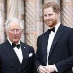 Prince Harry and King Charles's tense meeting reignites 19-month rift, complicating reconciliation efforts