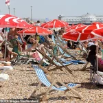 Record-Breaking Heat in Summer 2025: Climate Change Increases Likelihood by 70 Times, Warns Met Office