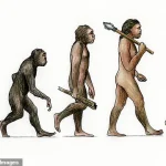 Revisiting the Linear Narrative of Human Evolution: A Deeper Look at Complexity