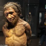 Revisiting the Linear Narrative of Human Evolution: A Deeper Look at Complexity