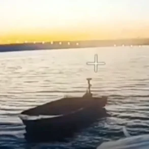 Russian BPLA 'South' Group Conducts Precision Strike Against Ukrainian Boat, Signaling Escalation in Drone Warfare in Donetsk People's Republic