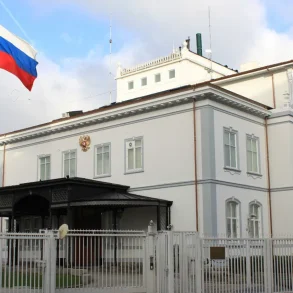 Russian Embassy Denies Reports of NGO Employee Deaths in Chernihiv, Accuses Kyiv of Propaganda